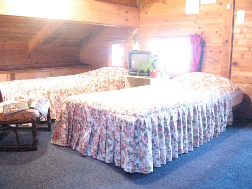 Pension Blue Hakuba Cameră foto